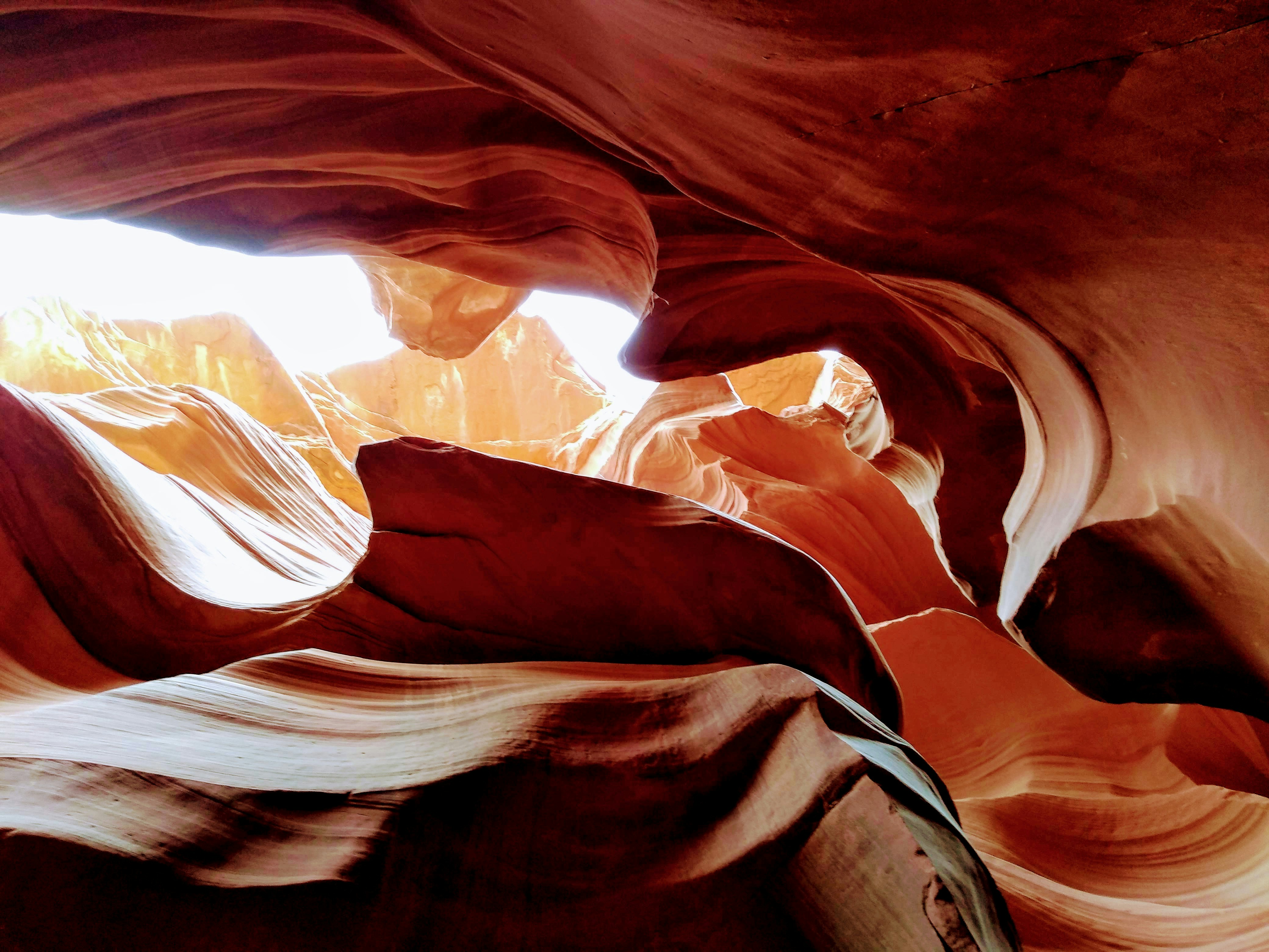Grand Canyon: 10 Facts About Arizona’s Geological Wonder image 3