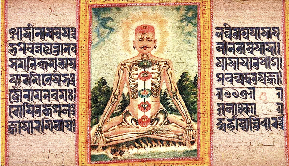 Chakras Explained: Origins, Symbols and Science main image