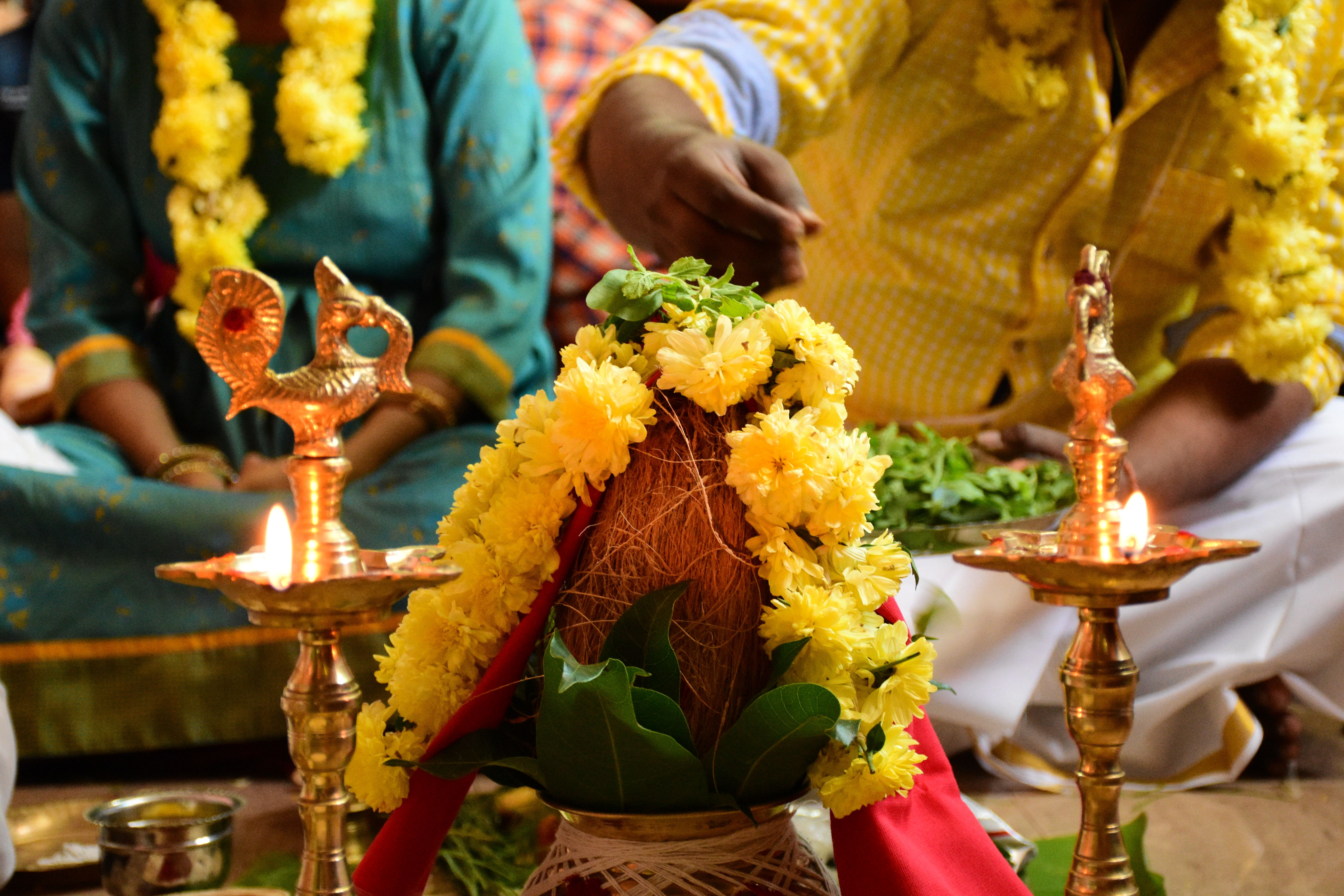 Ayurveda: Origins, Core Ideas, and Traditional Practices main image