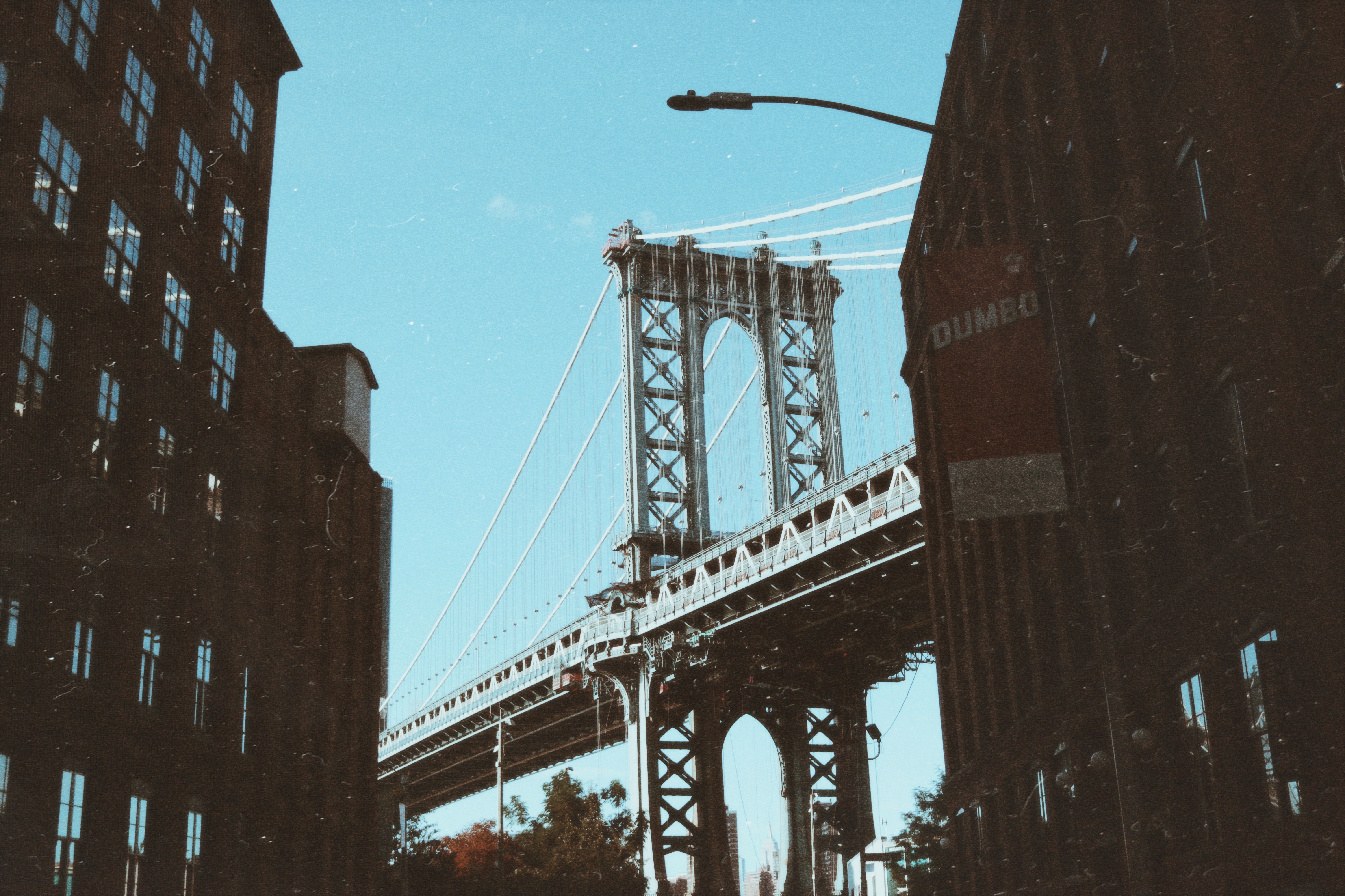 New York’s Wealthy Elite in the 1980s image 4